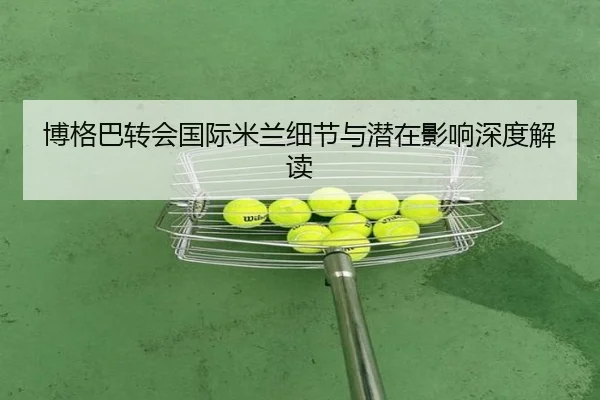 博格巴转会国际米兰细节与潜在影响深度解读